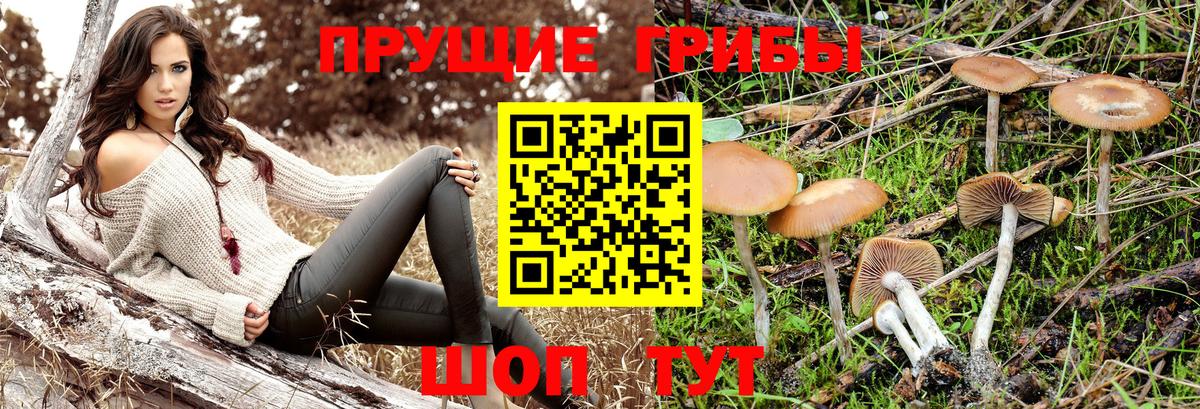 Псилоцибиновые грибы Magic Shrooms  Псилоцибиновые грибы Cubensis  Вход с VPN  Кемерово 