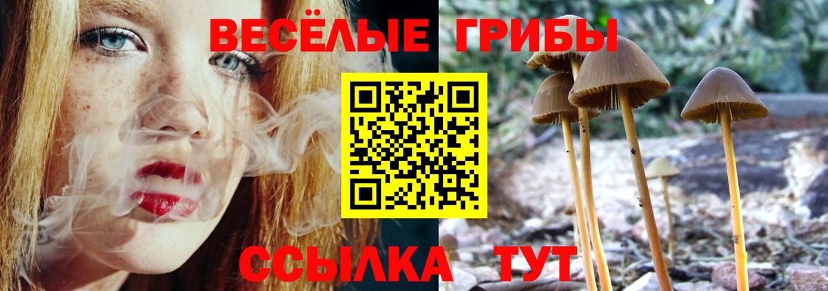 Псилоцибиновые грибы Cubensis Кемерово